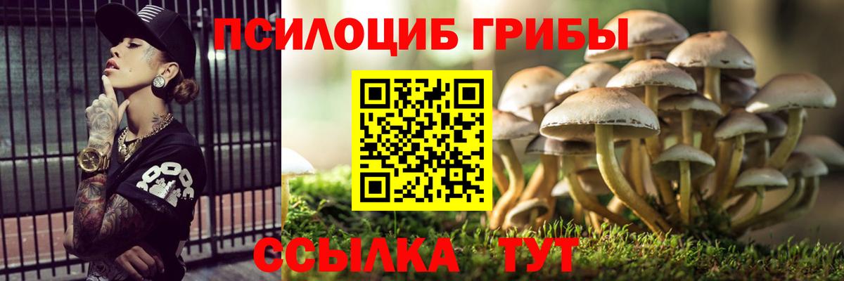 Галлюциногенные грибы Cubensis Нальчик
